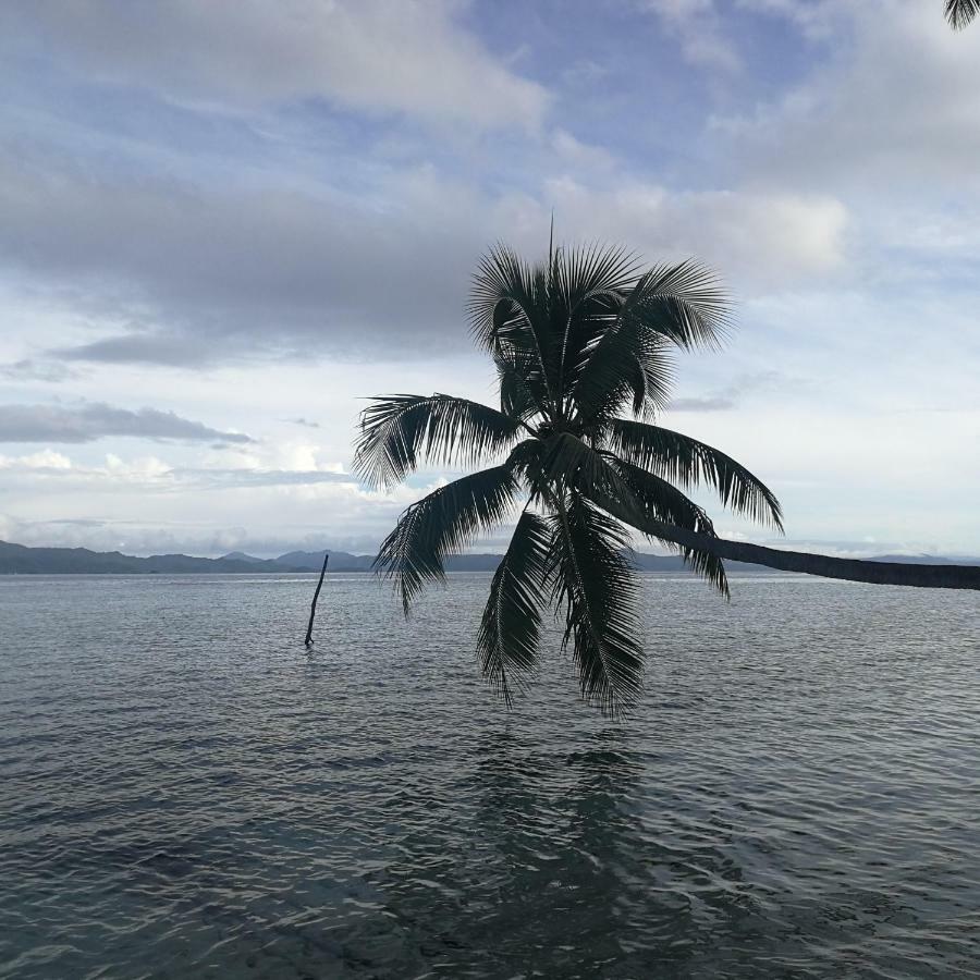 Turtle Dive Homestay Kri エクステリア 写真