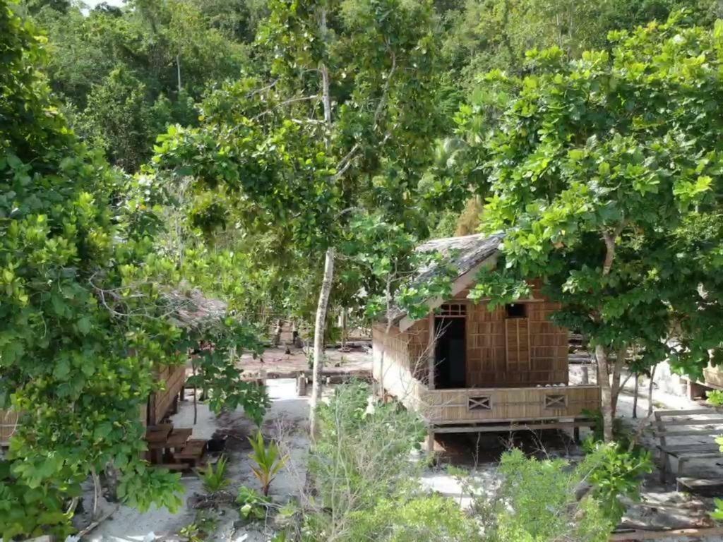 Turtle Dive Homestay Kri エクステリア 写真