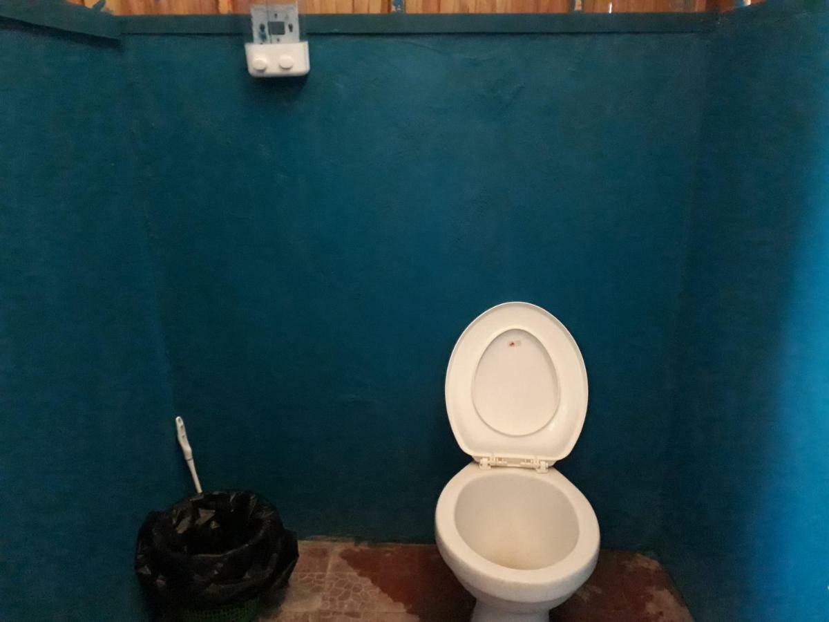 Turtle Dive Homestay Kri エクステリア 写真